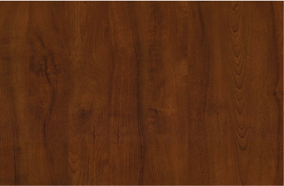 Sugar Maple