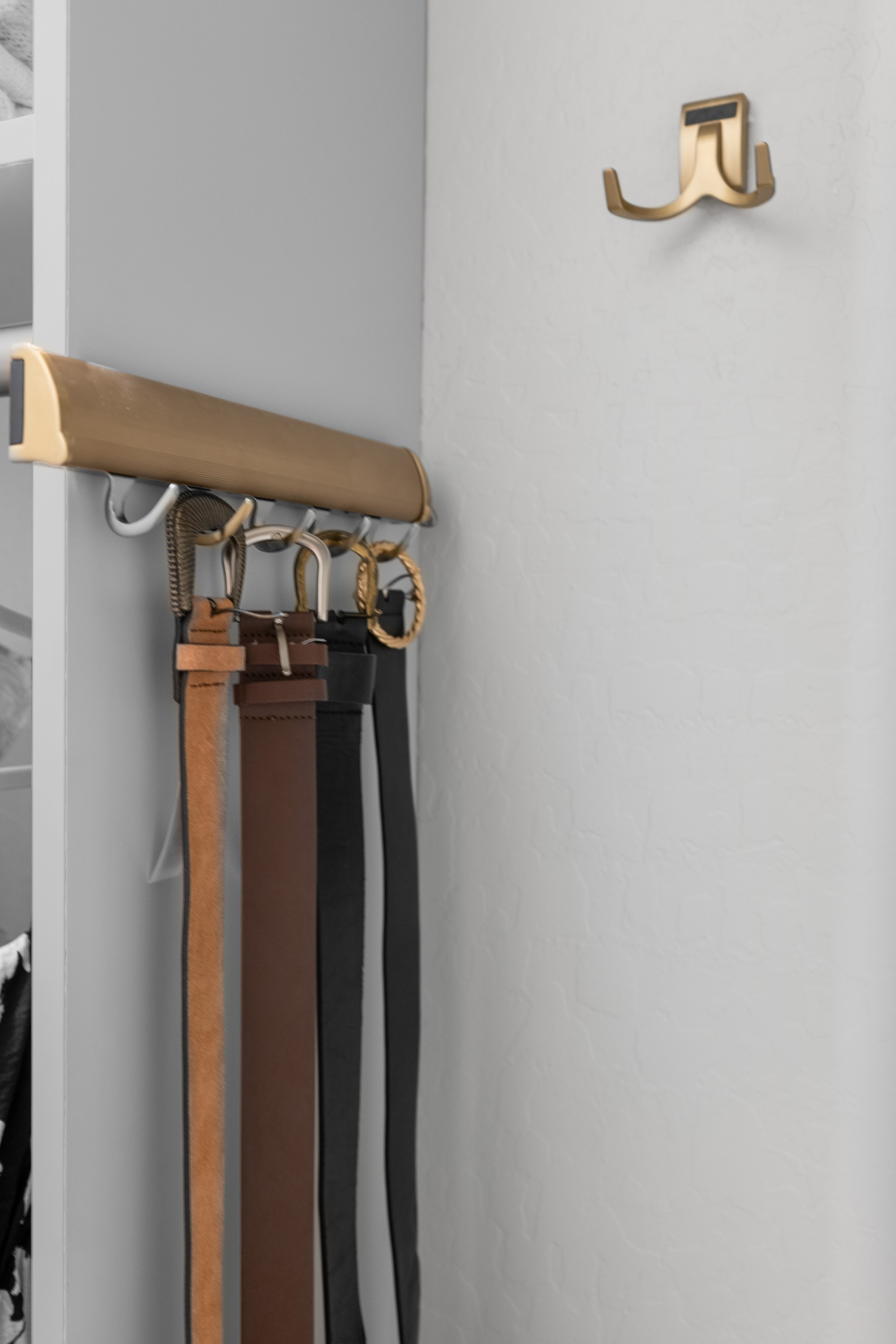Walk-in Closet thumbnail 21