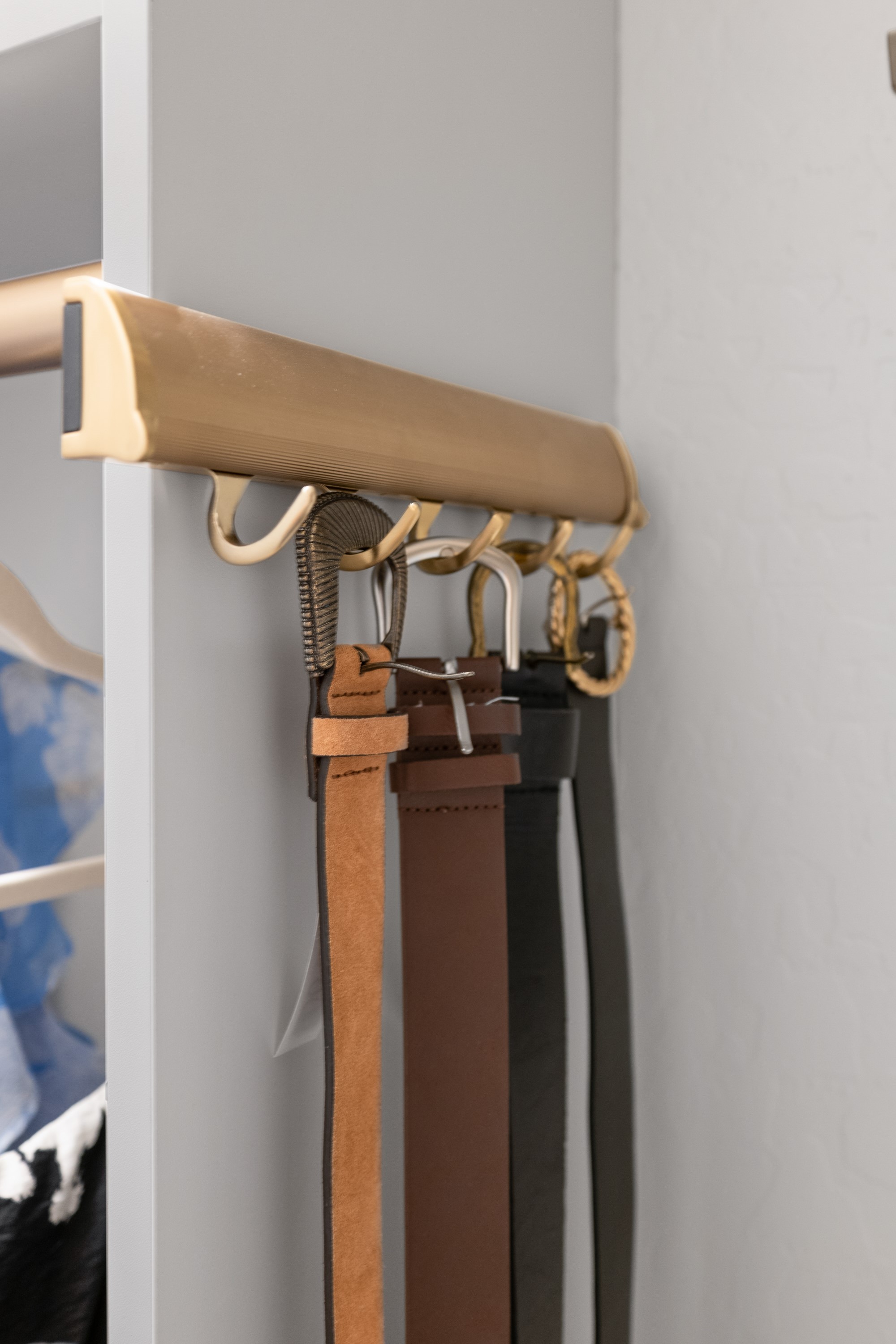 Walk-in Closet thumbnail 22