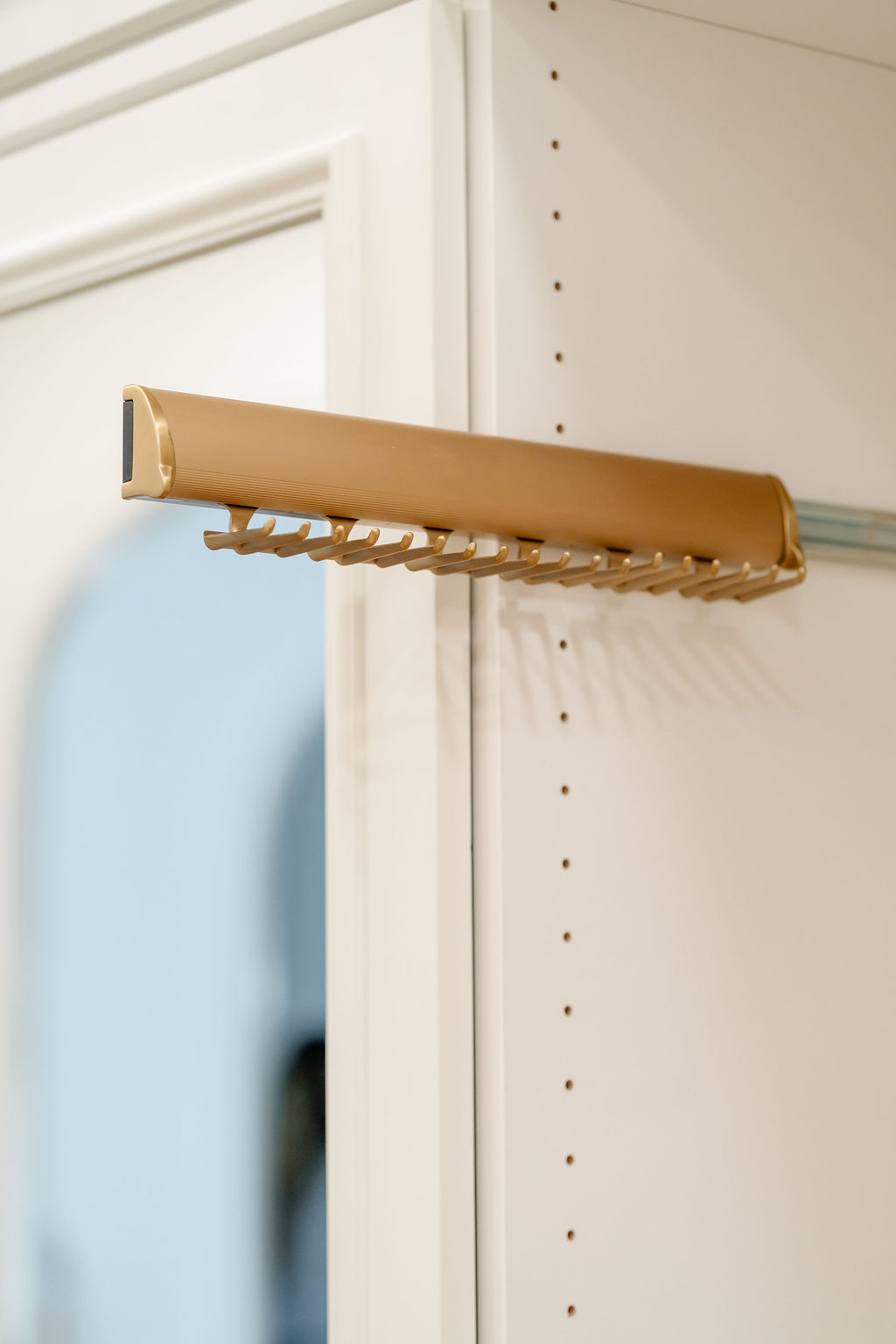 Mirrored Door Walk In Closet thumbnail 6