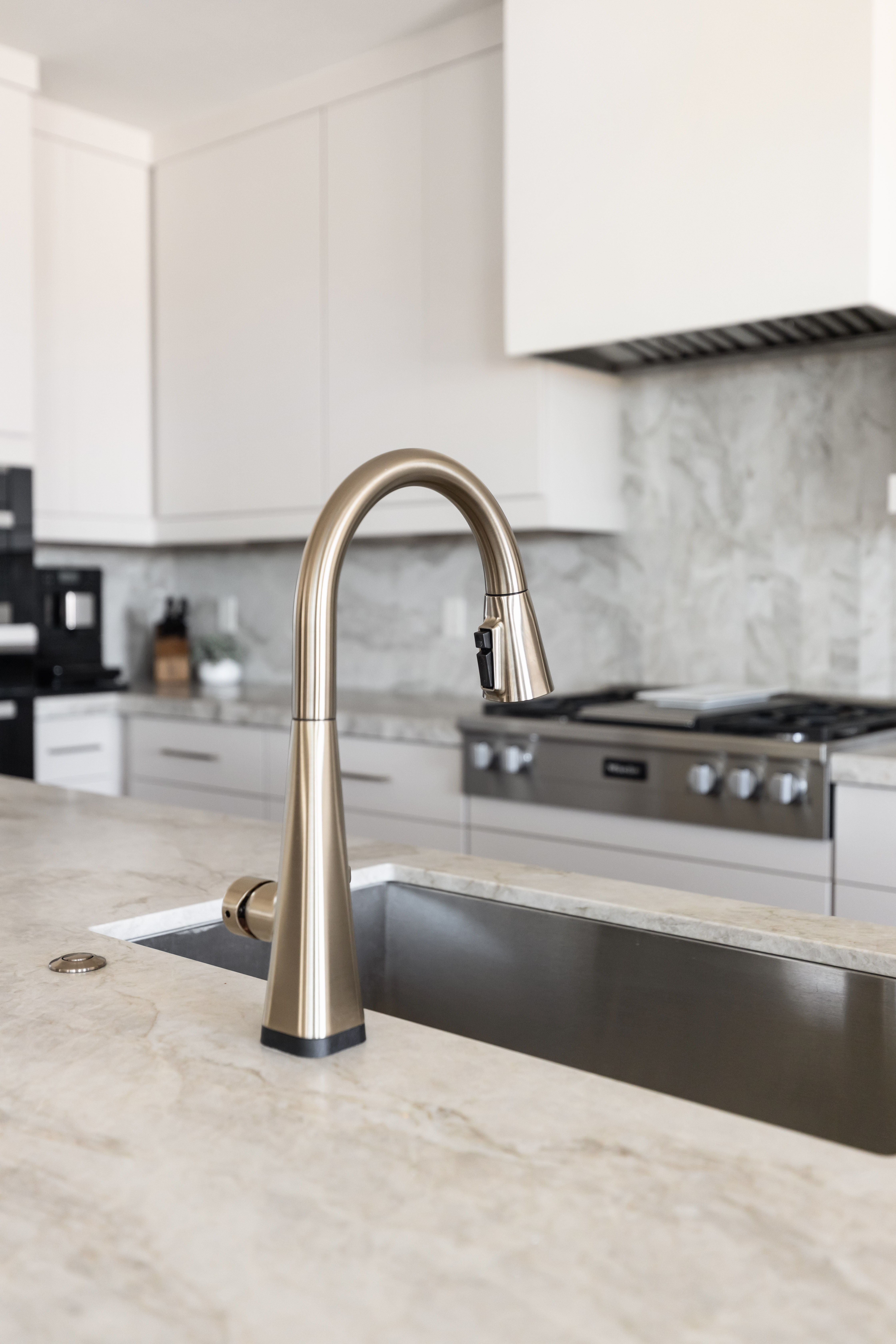 Two-Tone Modern Kitchen thumbnail 7